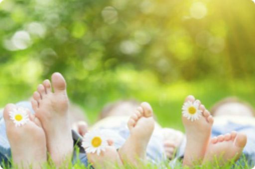 Lancement du site de Collège l’intégrale